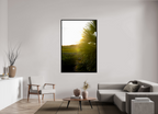 44 x 66″, Floater Frame Golden Hour Sunset Through Palm Fronds in Coastal Marshland