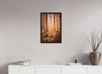 golden solitude forest landscape wall art photography