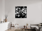 45 x 45″, Photo Print Under Acrylic Glass Midnight Blossoms black and white floral fine art print