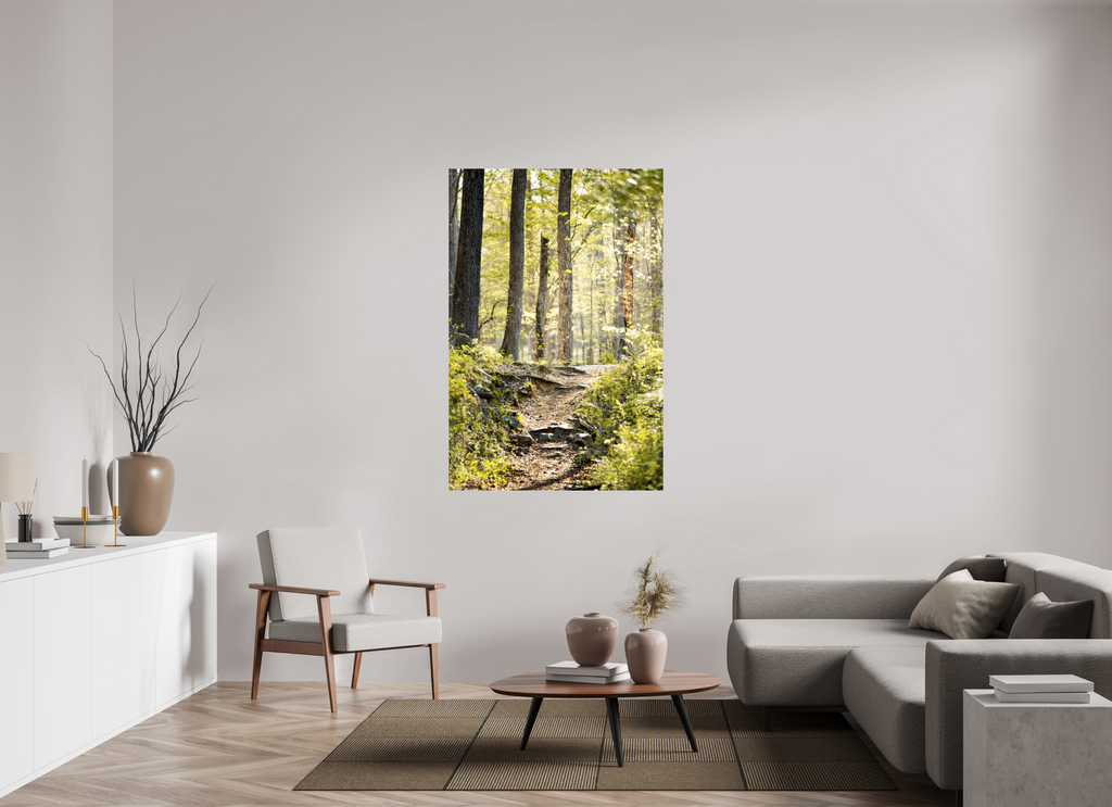 morning light golden forest fine art wall art photography