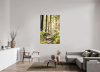 morning light golden forest fine art wall art photography