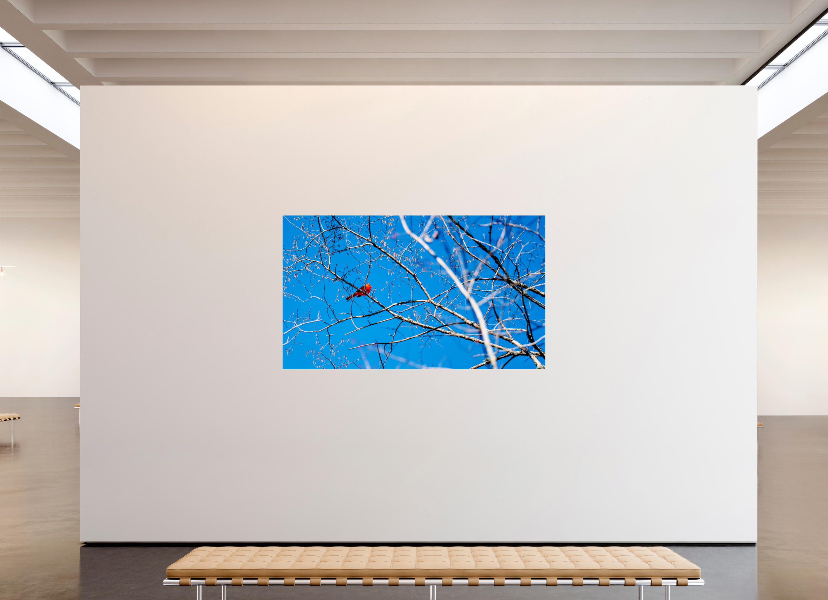 80.3 x 47″, Photo Print On Fuji Crystal DP II Brilliant Red