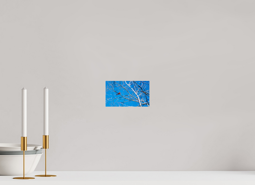 Brilliant Red Bold Contemporary Abstract Wall Art