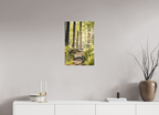 morning light golden forest fine art wall art photography