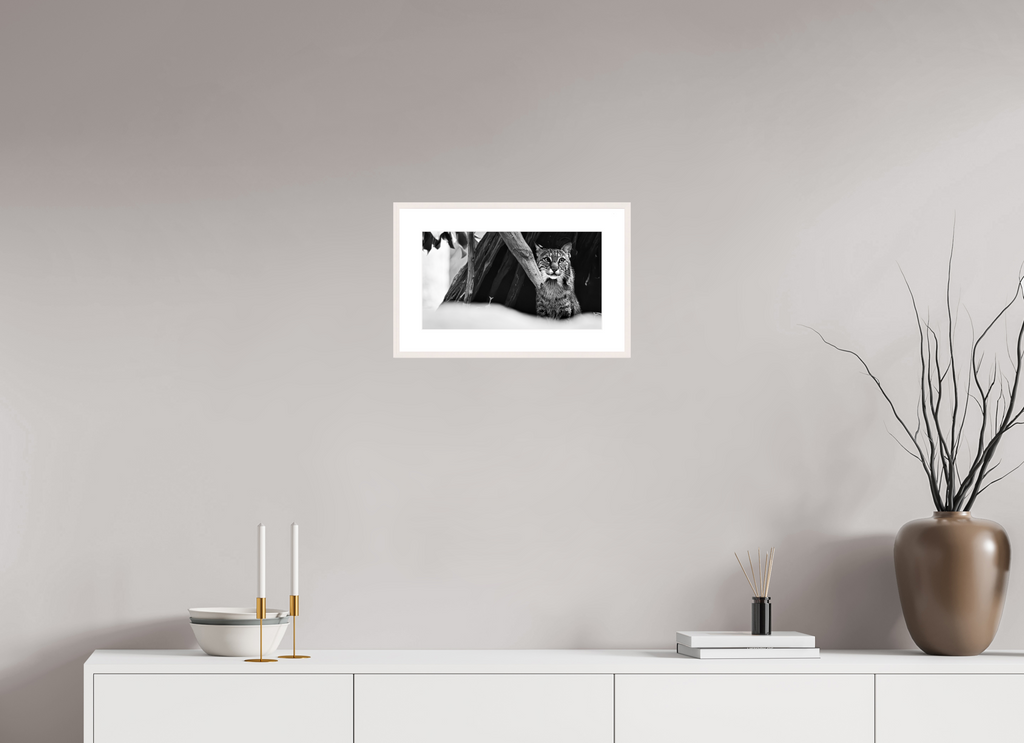 15.4 x 8.5″, Changeable Magnetic Frame Lynx Dreams