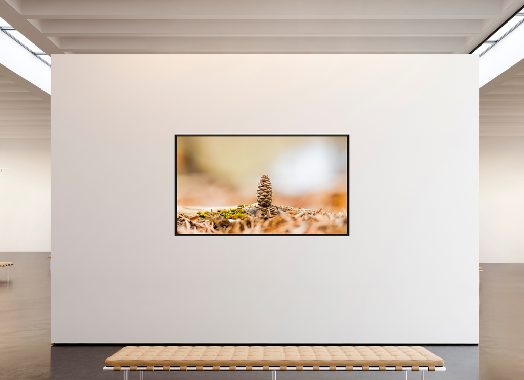 82 x 47″, Floater Frame Macro ConeMacro Cone Modern Abstract Textured Wall Art