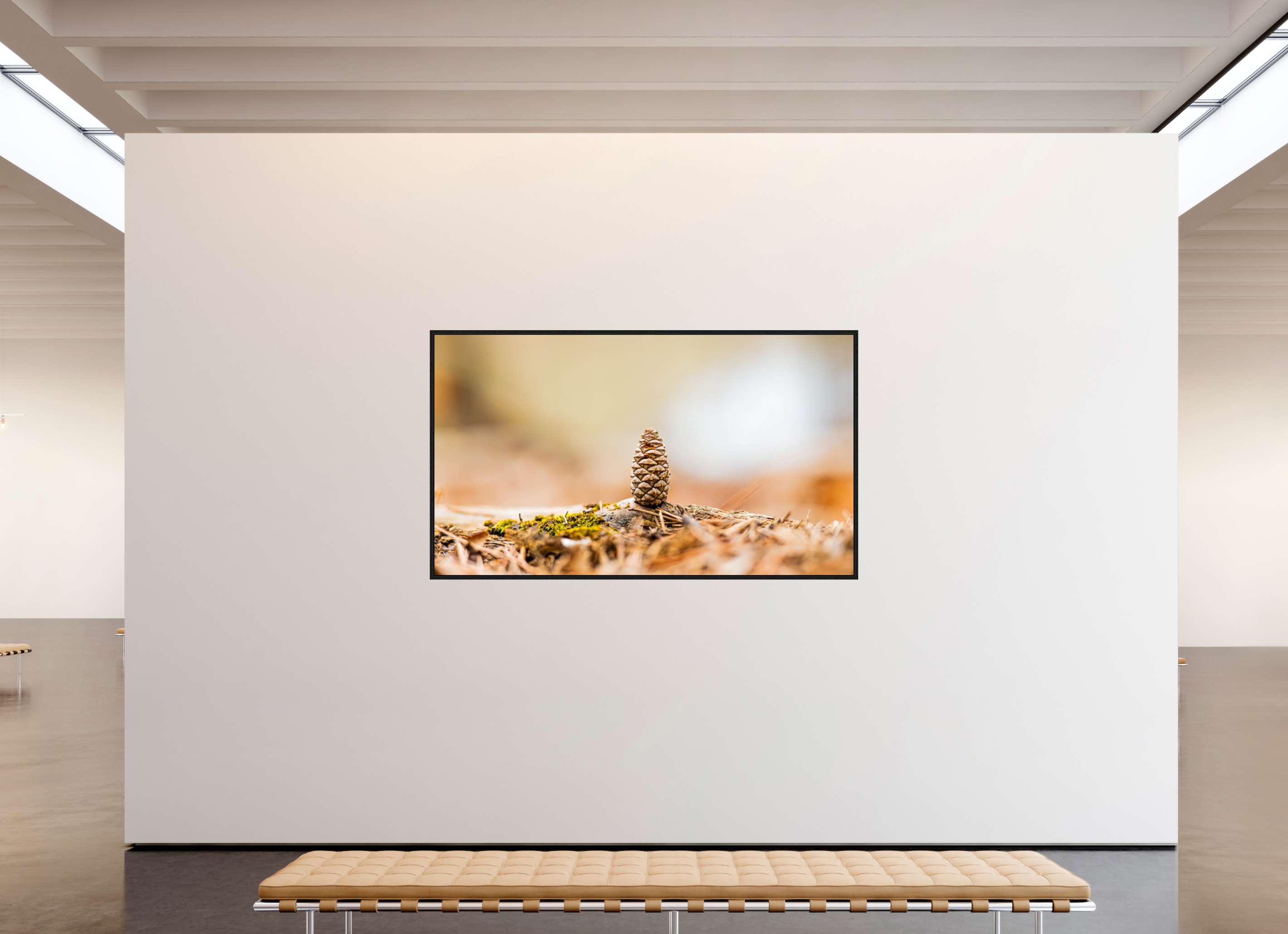 82 x 47″, Floater Frame Macro Cone