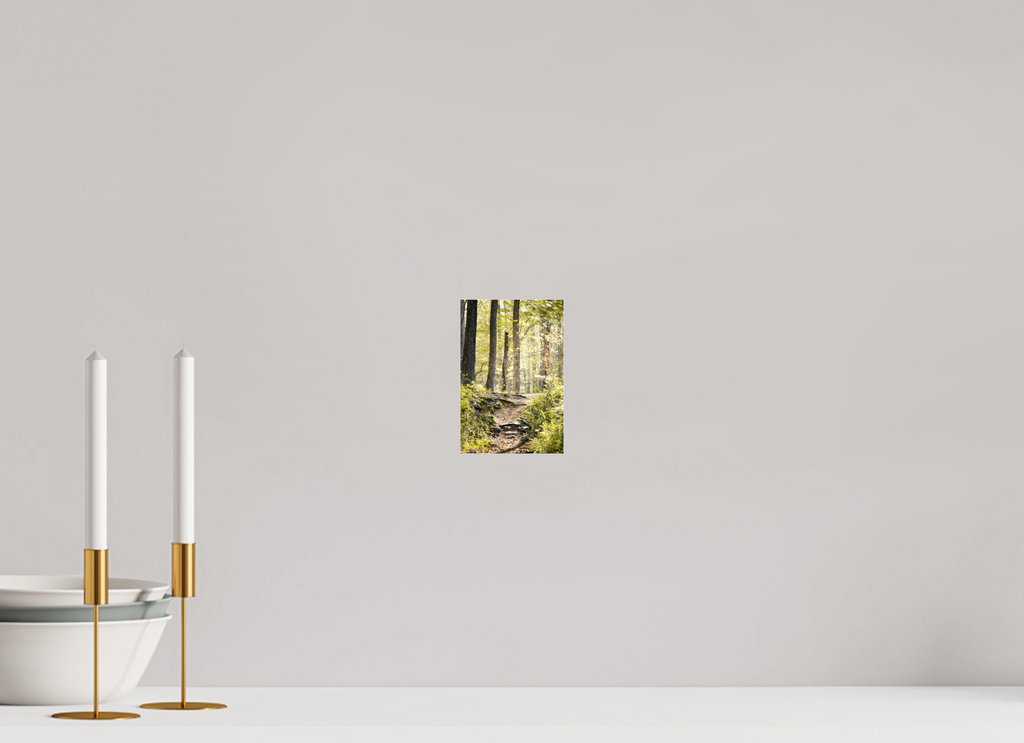morning light golden forest fine art wall art photography