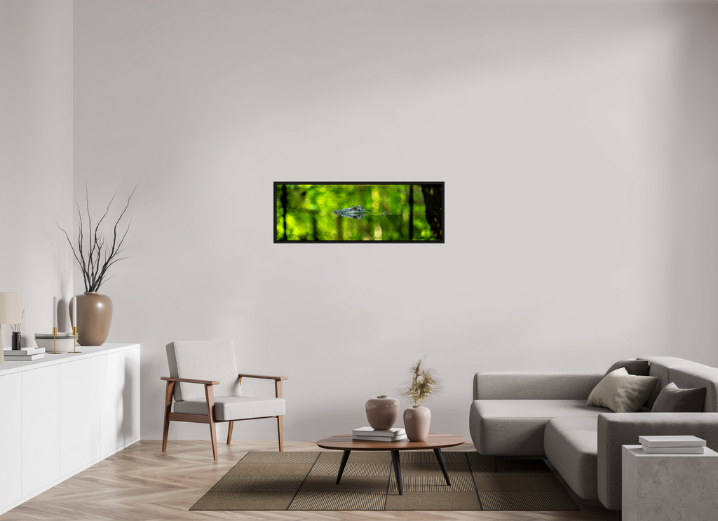 47.4 x 16″, Floater Frame Lurking Reflections