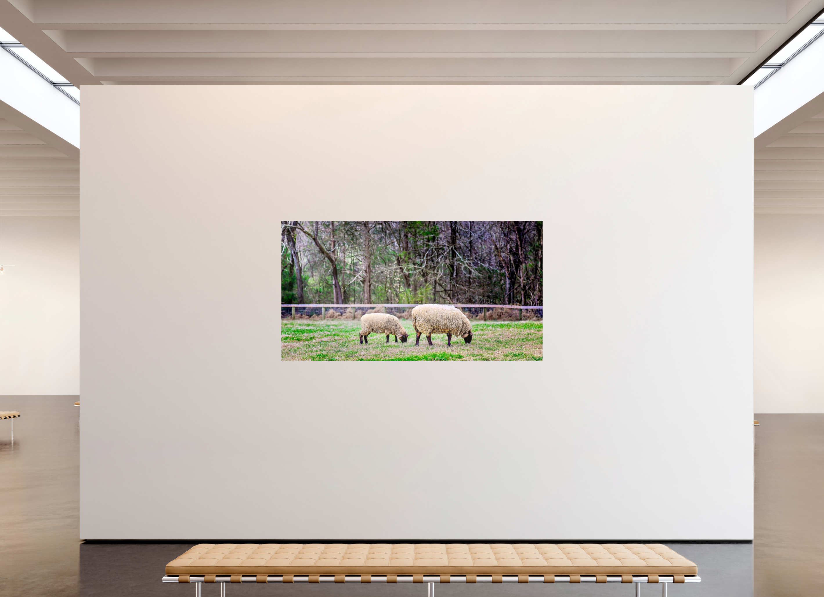80.2 x 43″, Photo Print On Fuji Crystal DP II Tranquil Pastures