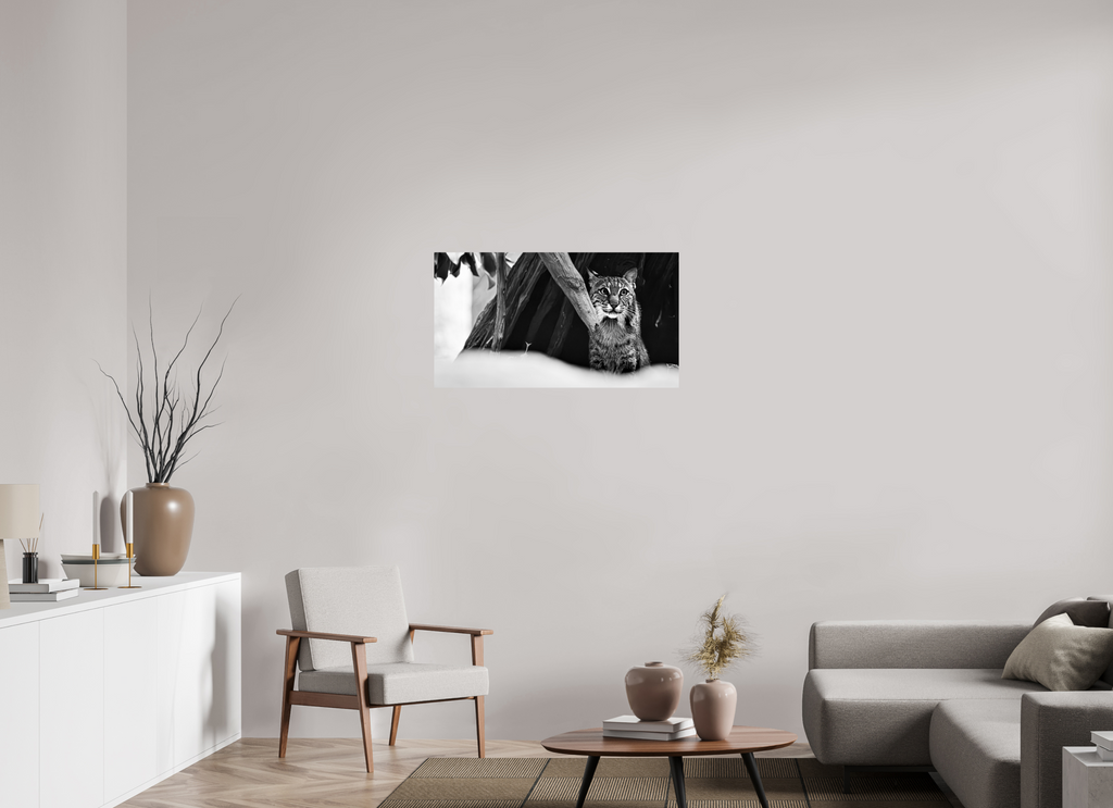 36.2 x 20″, Photo Print On Fuji Crystal DP II Lynx Dreams