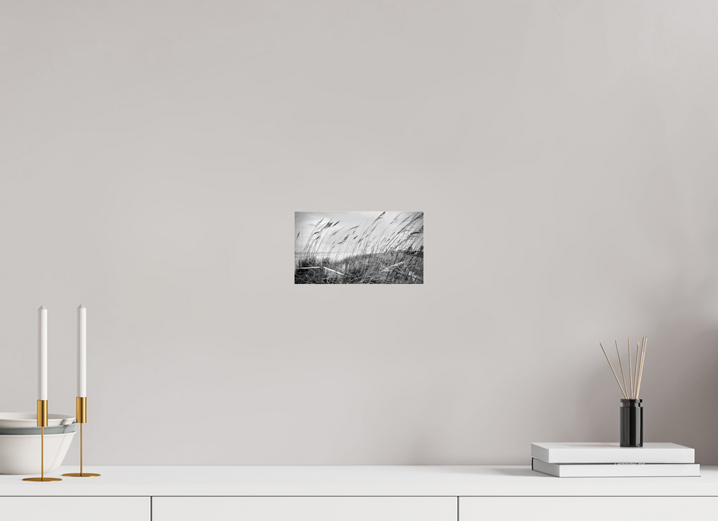 8 x 4.5″, Photo Print Under Acrylic Glass Whispering Sea Oats