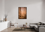 golden solitude forest landscape wall art photography