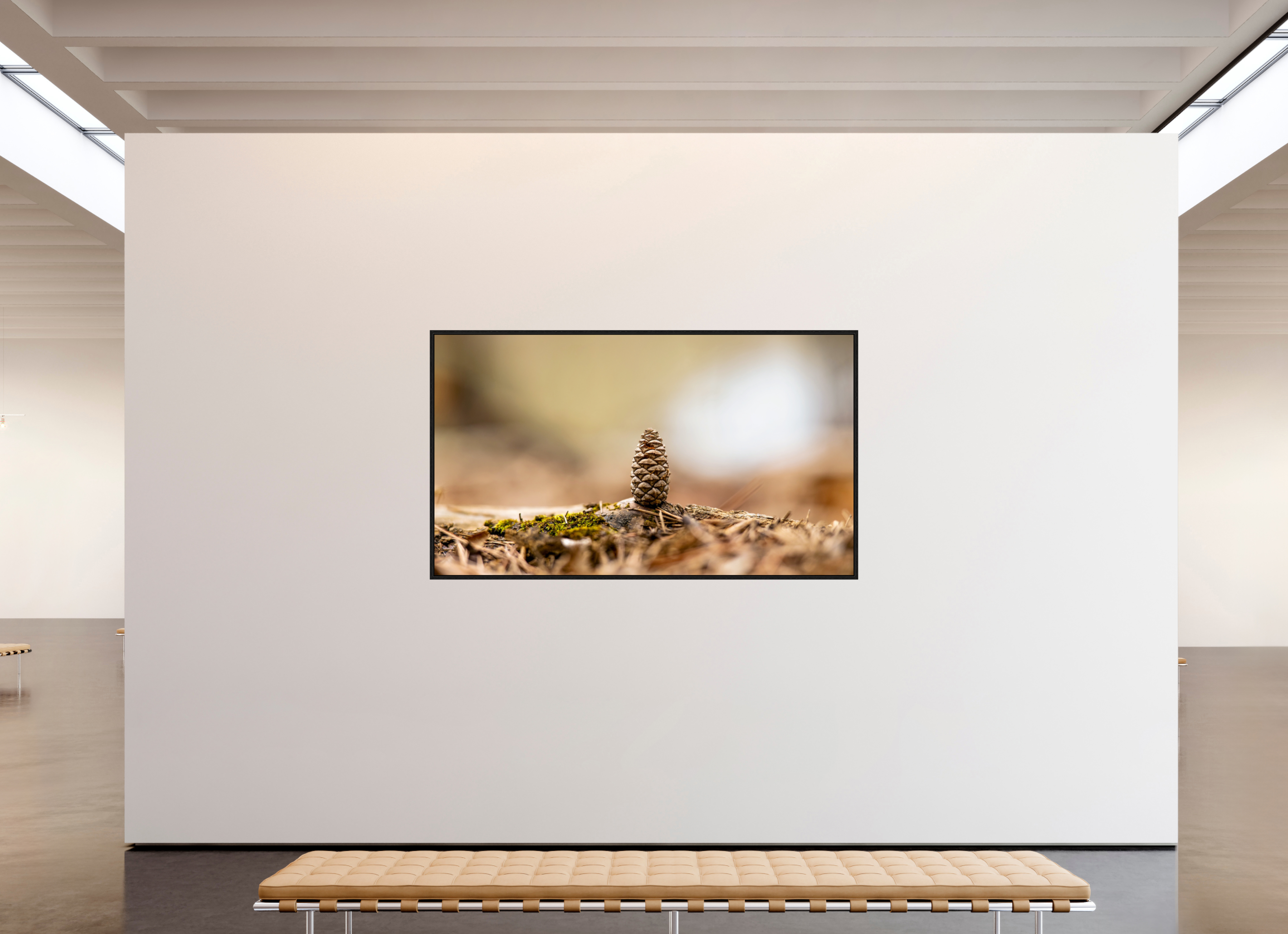 82 x 47″, Floater Frame Macro Cone