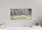 ranquil Pastures Serene Countryside Landscape Wall Art