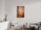 golden solitude forest landscape wall art photography