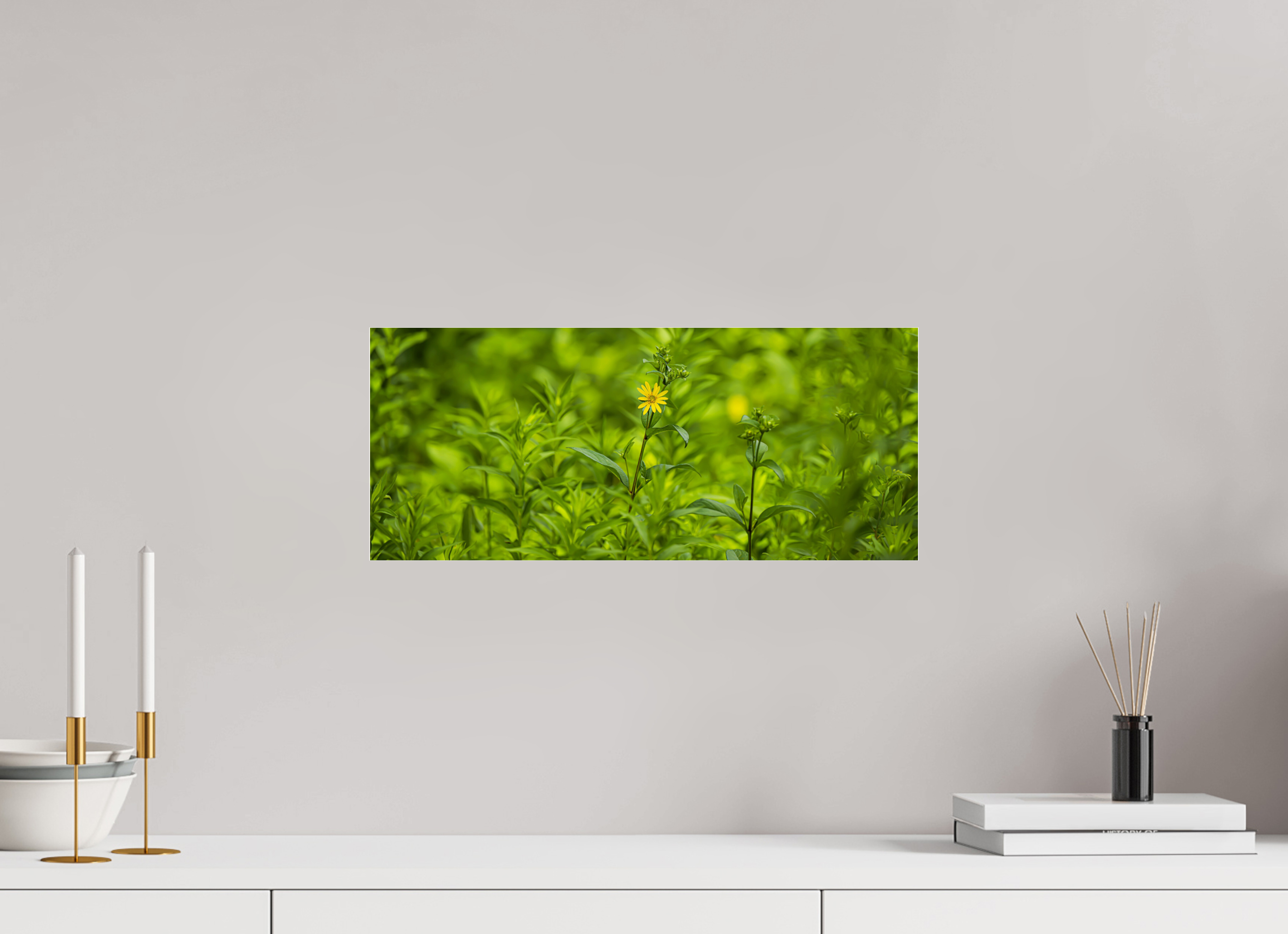 18.8 x 8″, Photo Print Under Acrylic Glass Lonely Bloom