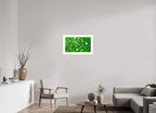 Emerald Morning Dew Luxury Hydrating Beauty