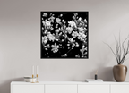 30 x 30″, Floater Frame Midnight Blossoms black and white floral fine art print