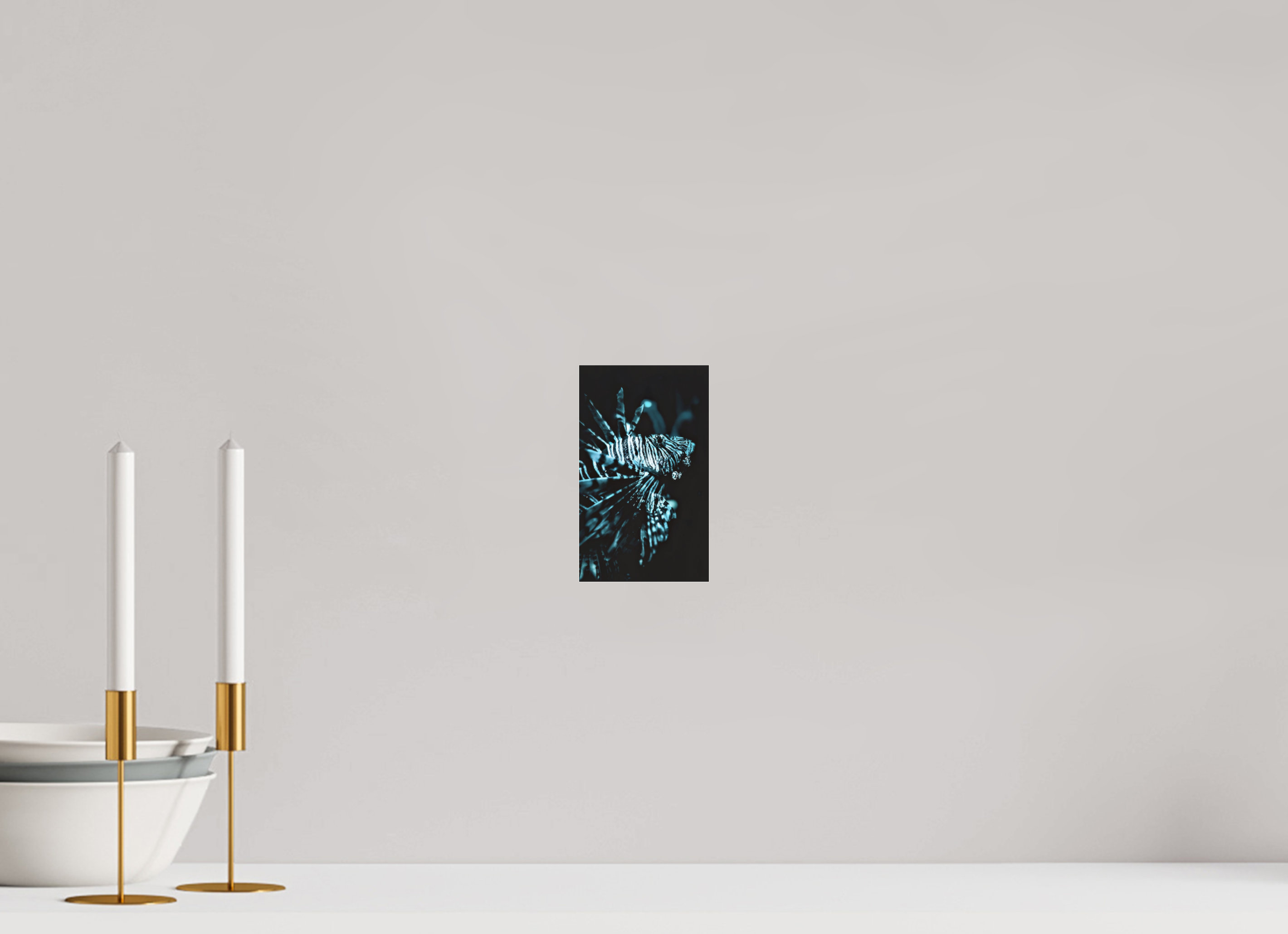 4 x 6.7″, Photo Print Under Acrylic Glass The Silent Sovereign