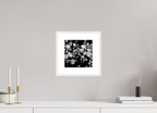 8 x 8″, Changeable Magnetic Frame Midnight Blossoms black and white floral fine art print