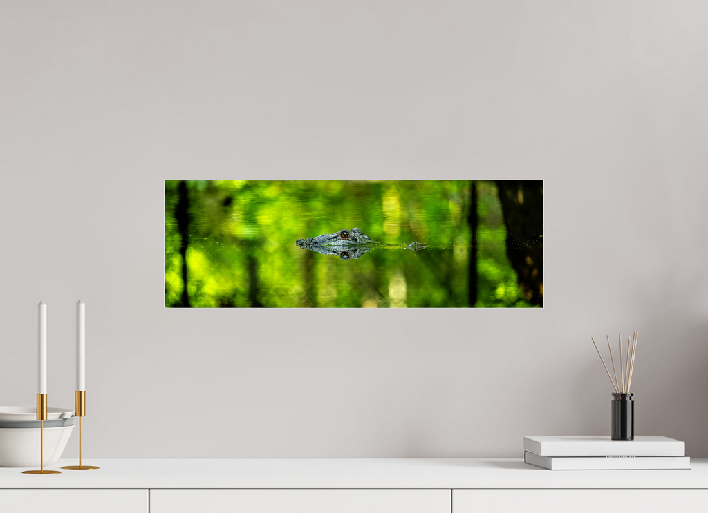 23.7 x 8″, Photo Print Under Acrylic Glass Lurking Reflections