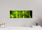 23.7 x 8″, Photo Print Under Acrylic Glass Lurking Reflections