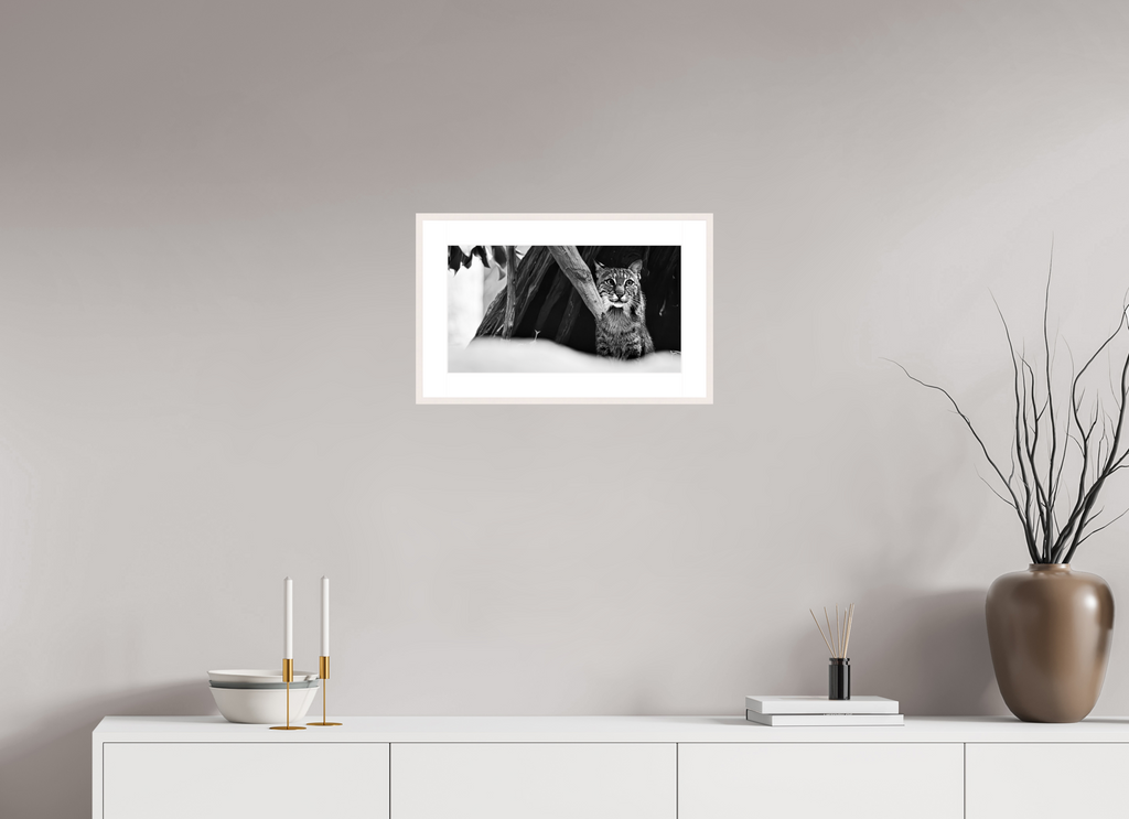 18.1 x 10″, Changeable Magnetic Frame Lynx Dreams