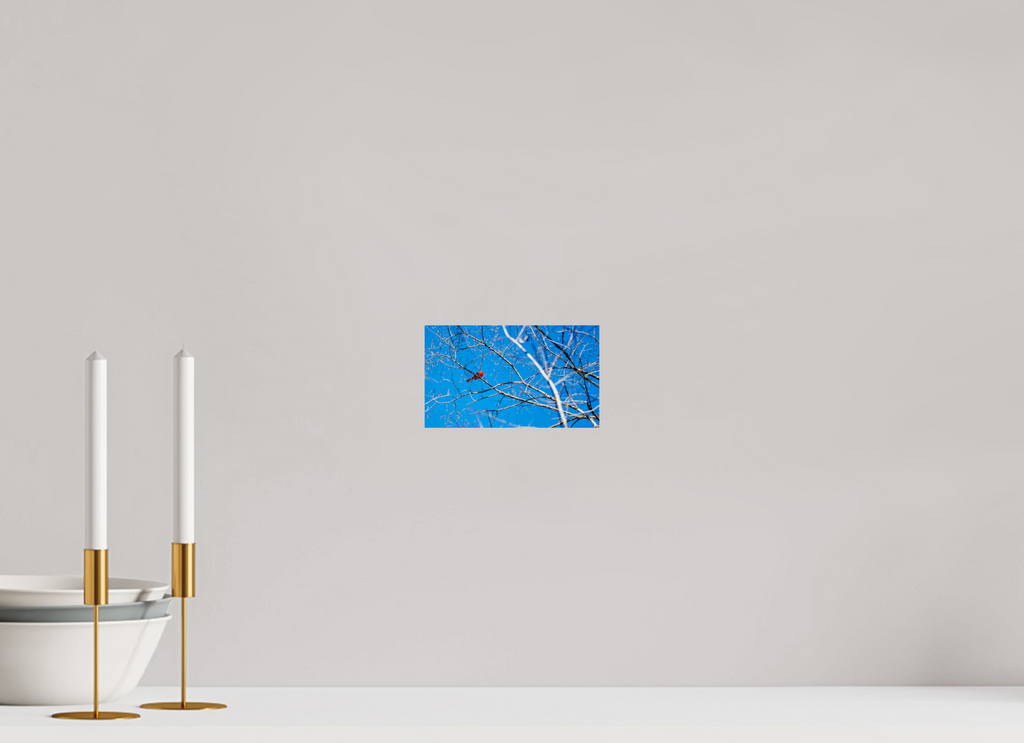 Brilliant Red Bold Contemporary Abstract Wall Art