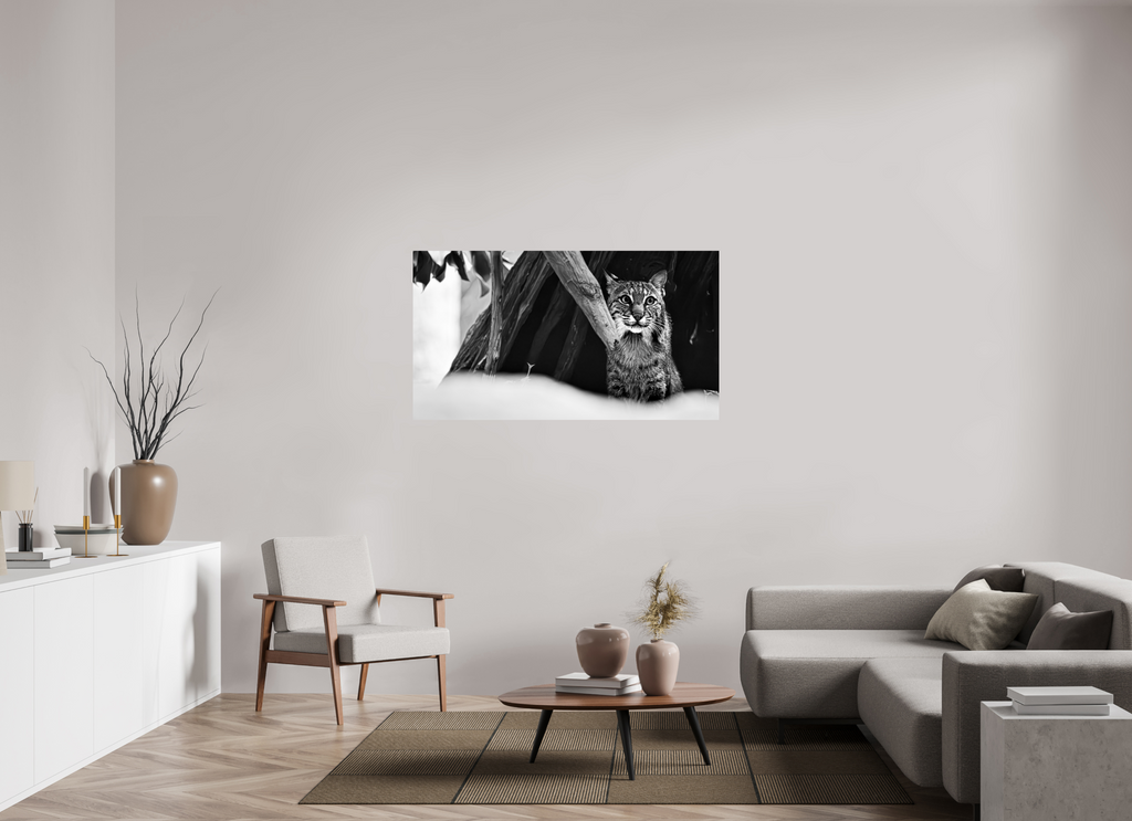 56.1 x 31″, Photo Print On Fuji Crystal DP II Lynx Dreams