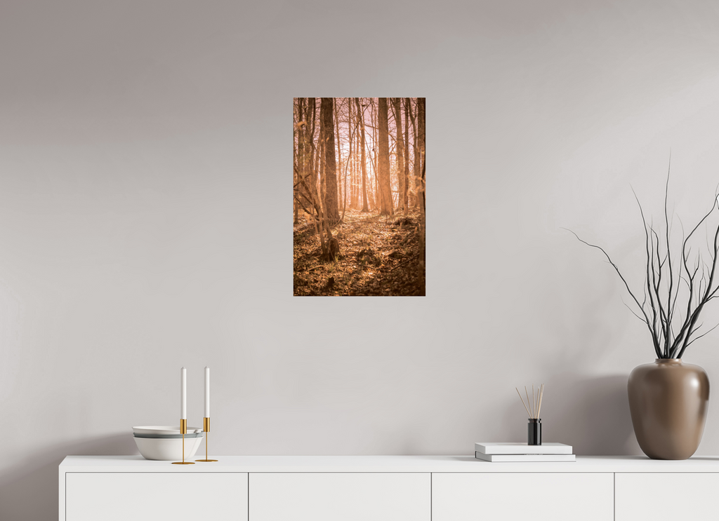 golden solitude forest landscape wall art photography