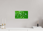 Emerald Morning Dew Luxury Hydrating Beauty