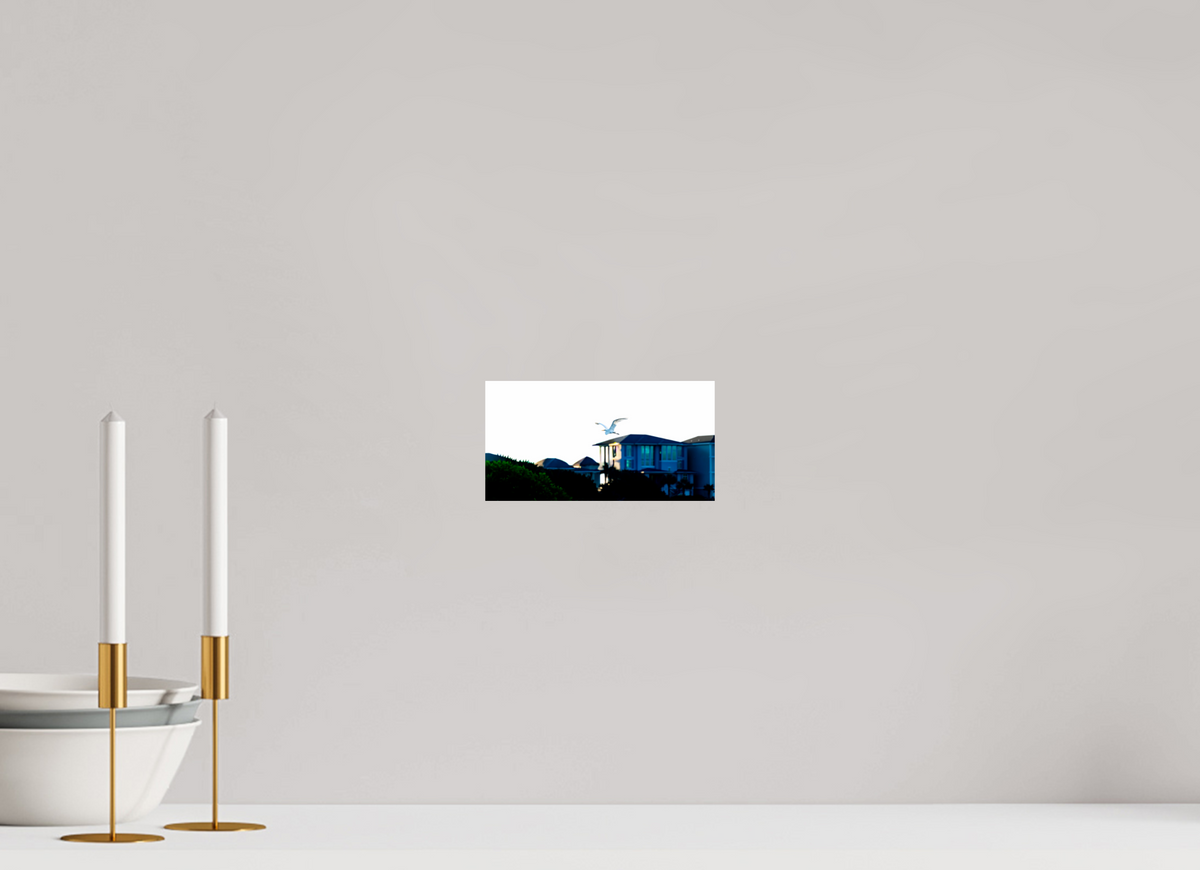 7.7 x 4″, Photo Print On Fuji Crystal DP II White Egret Flying Over Coastal Beach House