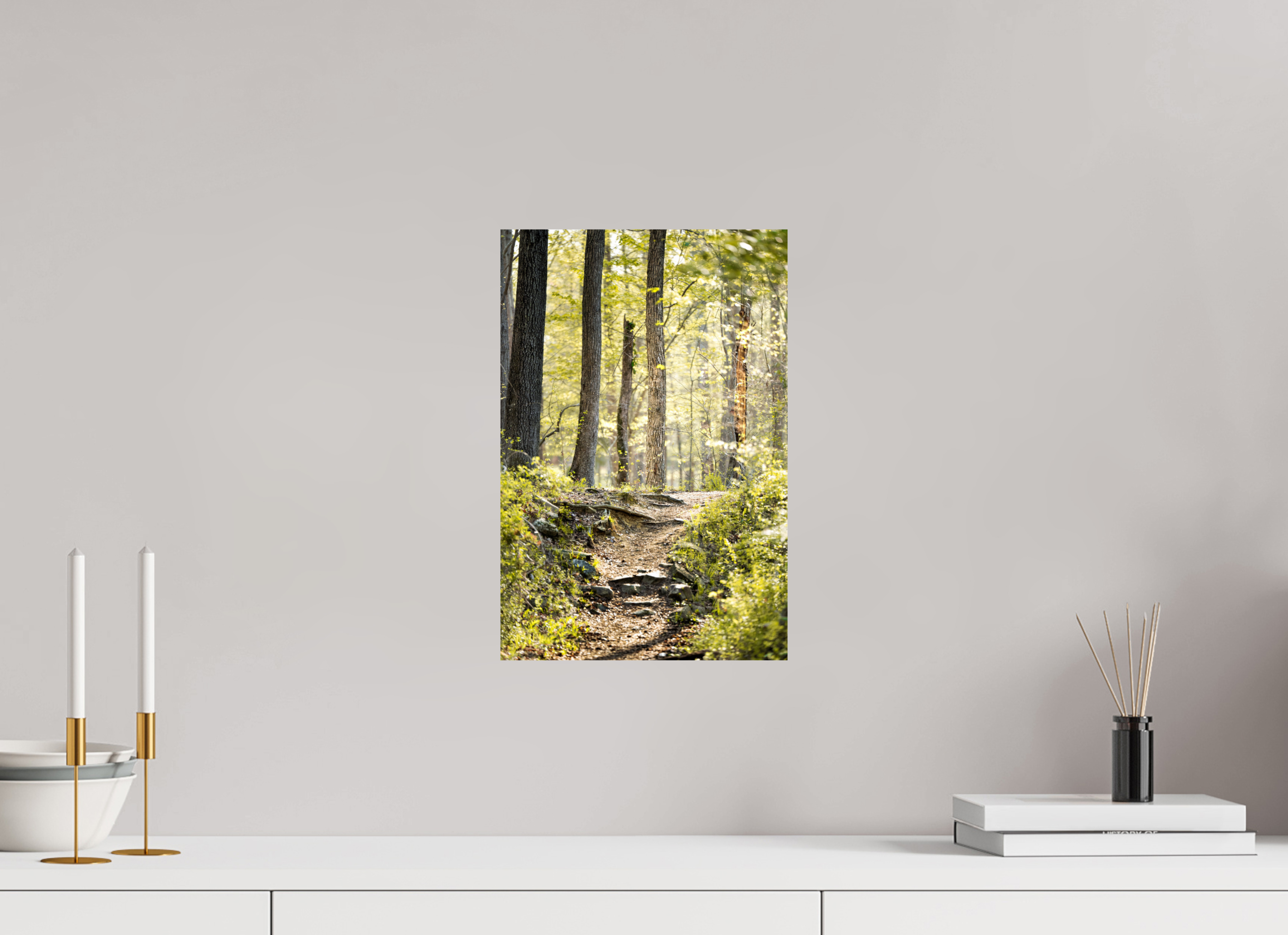 10 x 15″, Photo Print On Fuji Crystal DP II Morning Light