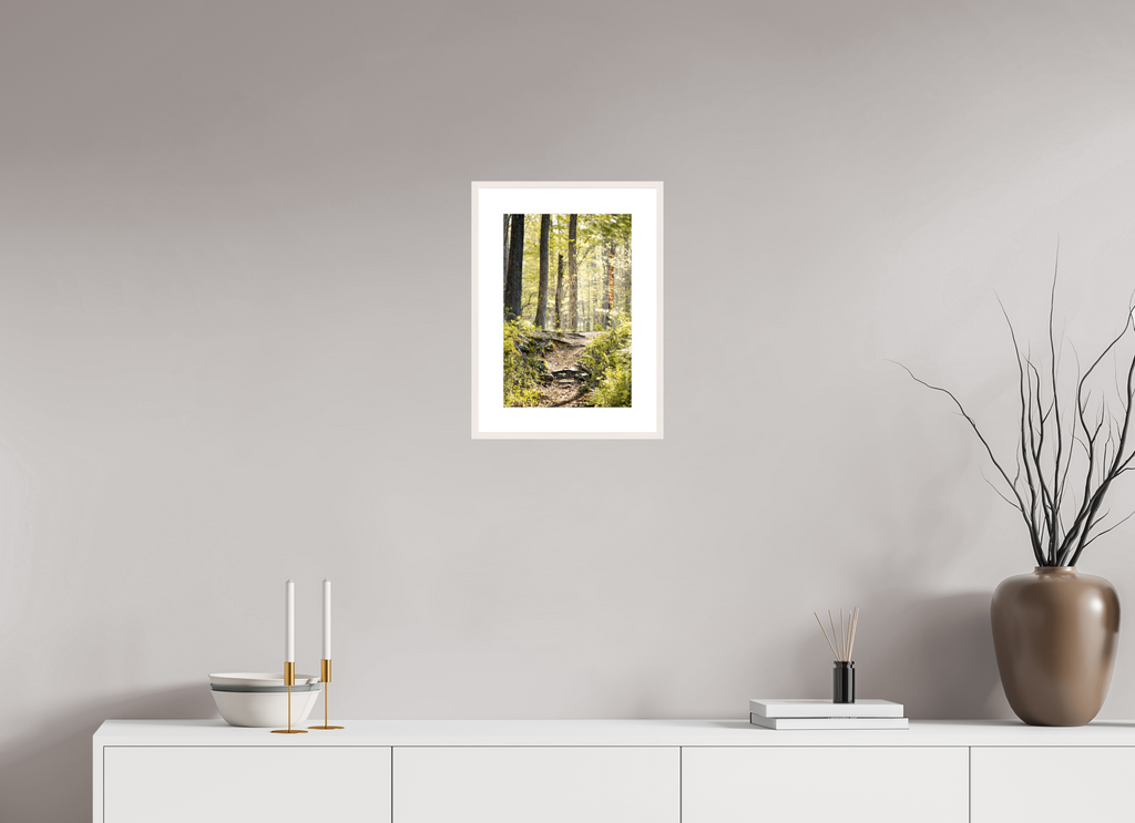 morning light golden forest fine art wall art photography