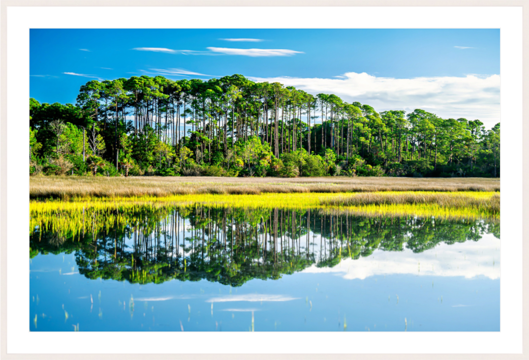 Main image Serene Marsh Landscape Fine Art Photography Print