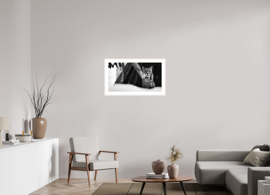32.6 x 18″, Changeable Magnetic Frame Lynx Dreams