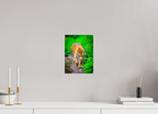 On the Prowl Bold Contemporary Wildlife Wall Art