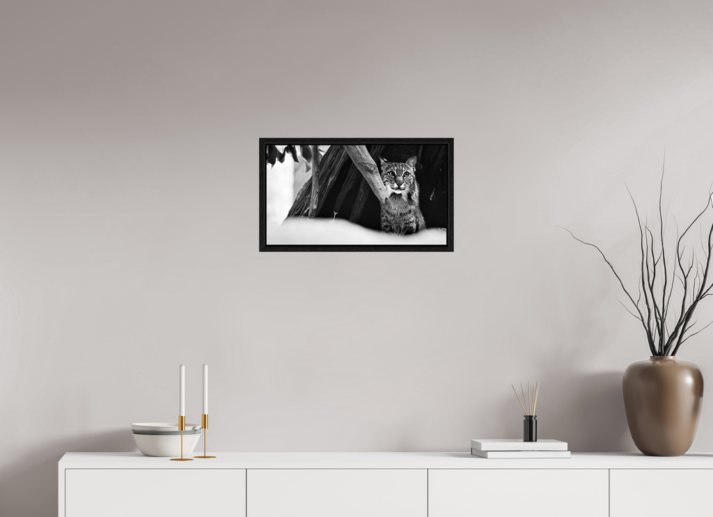 21.7 x 12″, Floater Frame Lynx Dreams