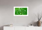 Emerald Morning Dew Luxury Hydrating Beauty
