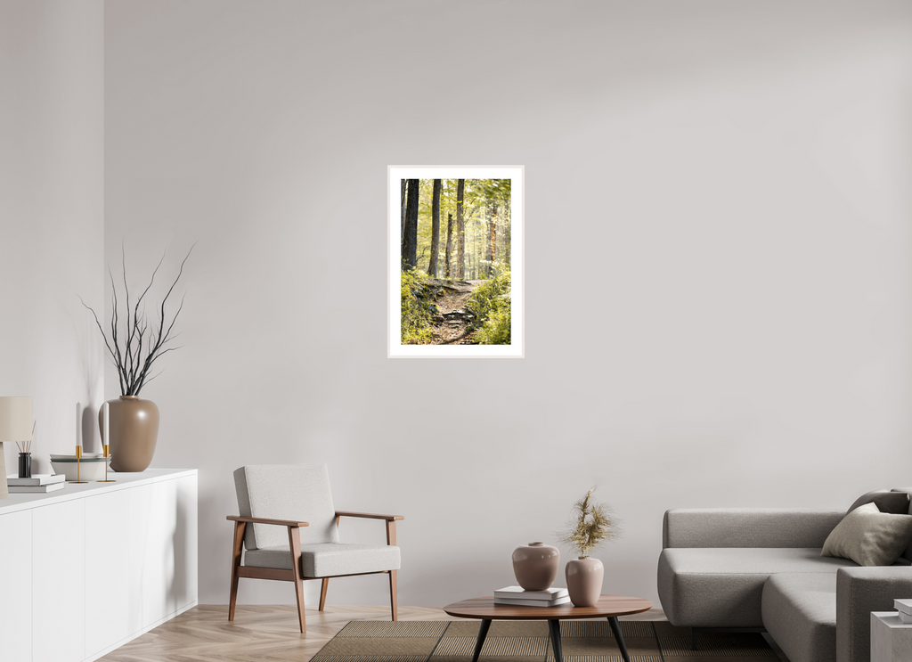 morning light golden forest fine art wall art photography