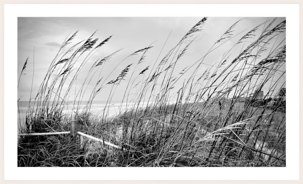 Main image Whispering Sea Oats