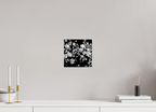 8 x 8″, Photo Print Under Acrylic Glass Midnight Blossoms black and white floral fine art print