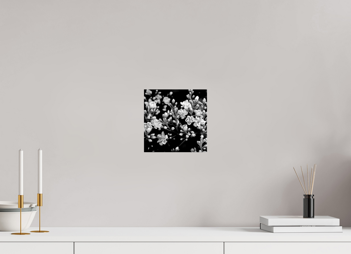 8 x 8″, Photo Print Under Acrylic Glass Midnight Blossoms black and white floral fine art print