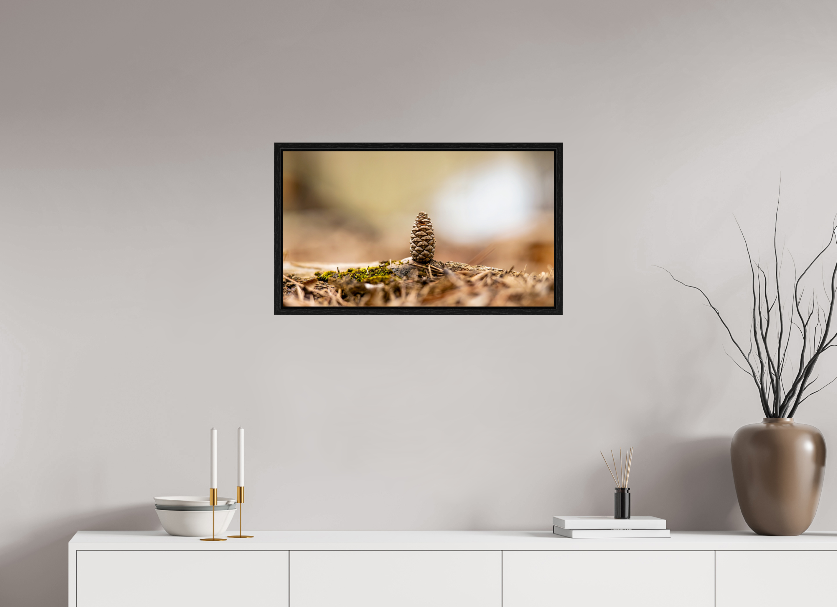 27.9 x 16″, Floater Frame Macro Cone