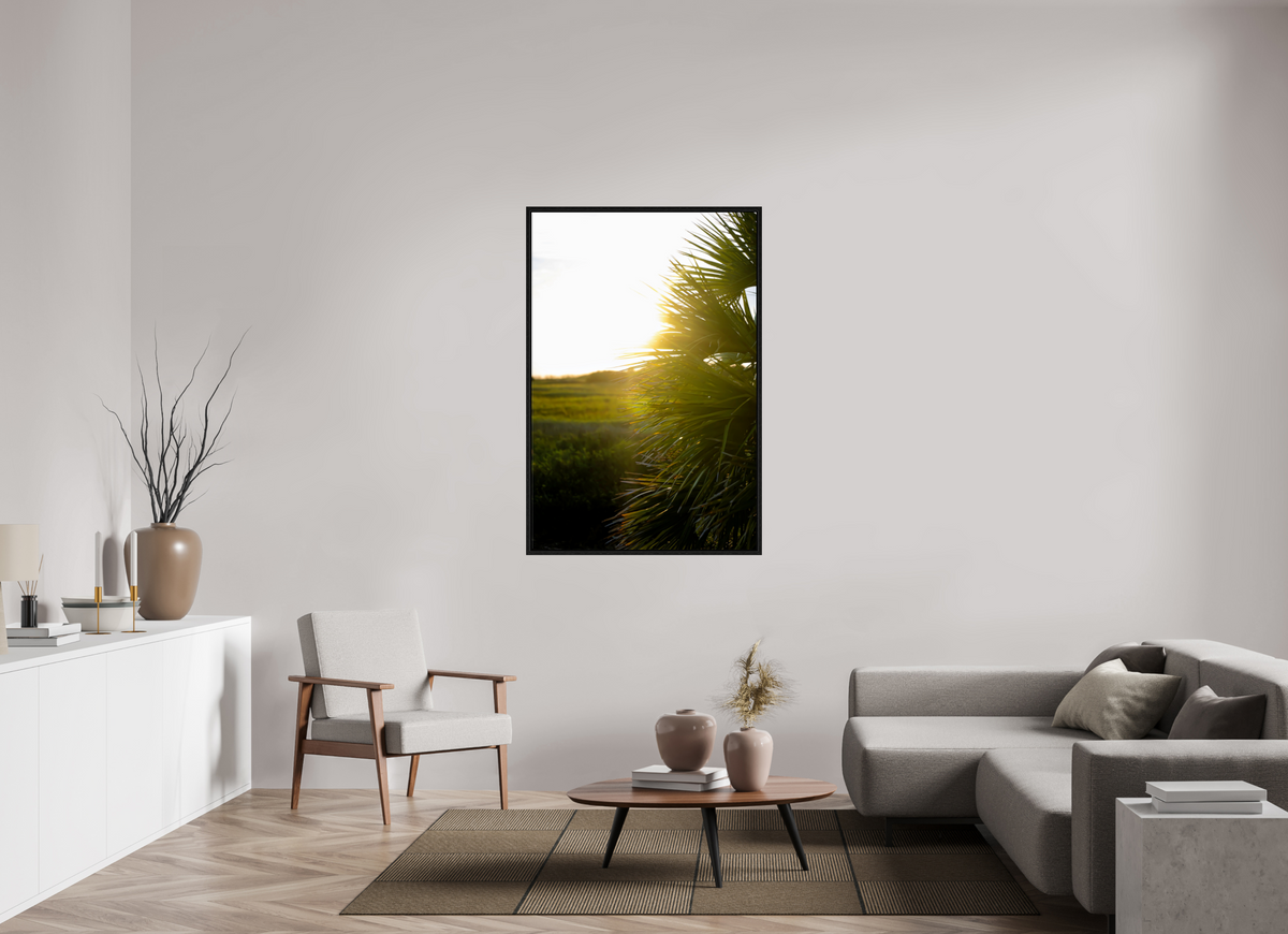 36 x 54″, Floater Frame Golden Hour Sunset Through Palm Fronds in Coastal Marshland