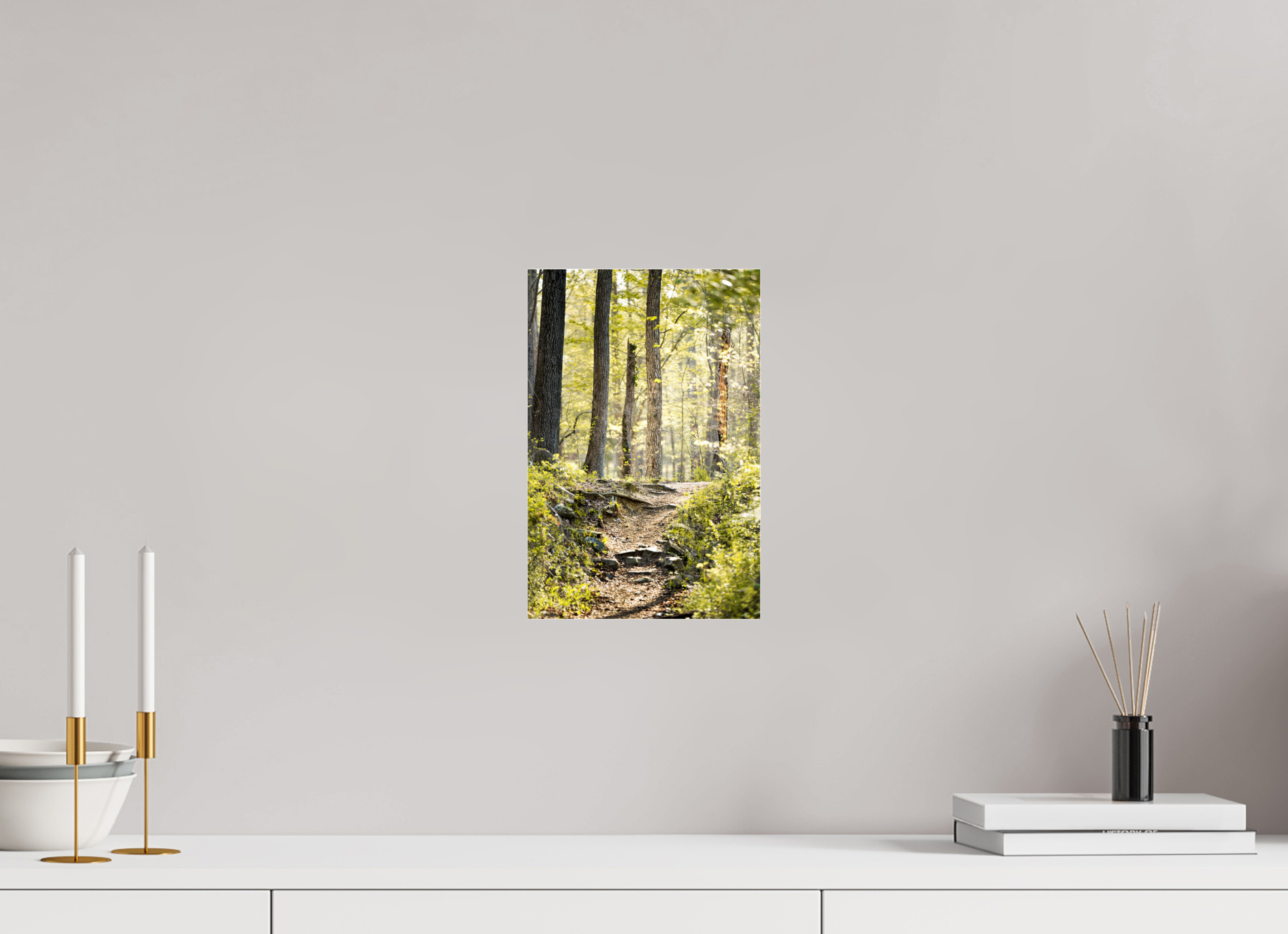 8 x 12″, Photo Print Under Acrylic Glass Morning Light
