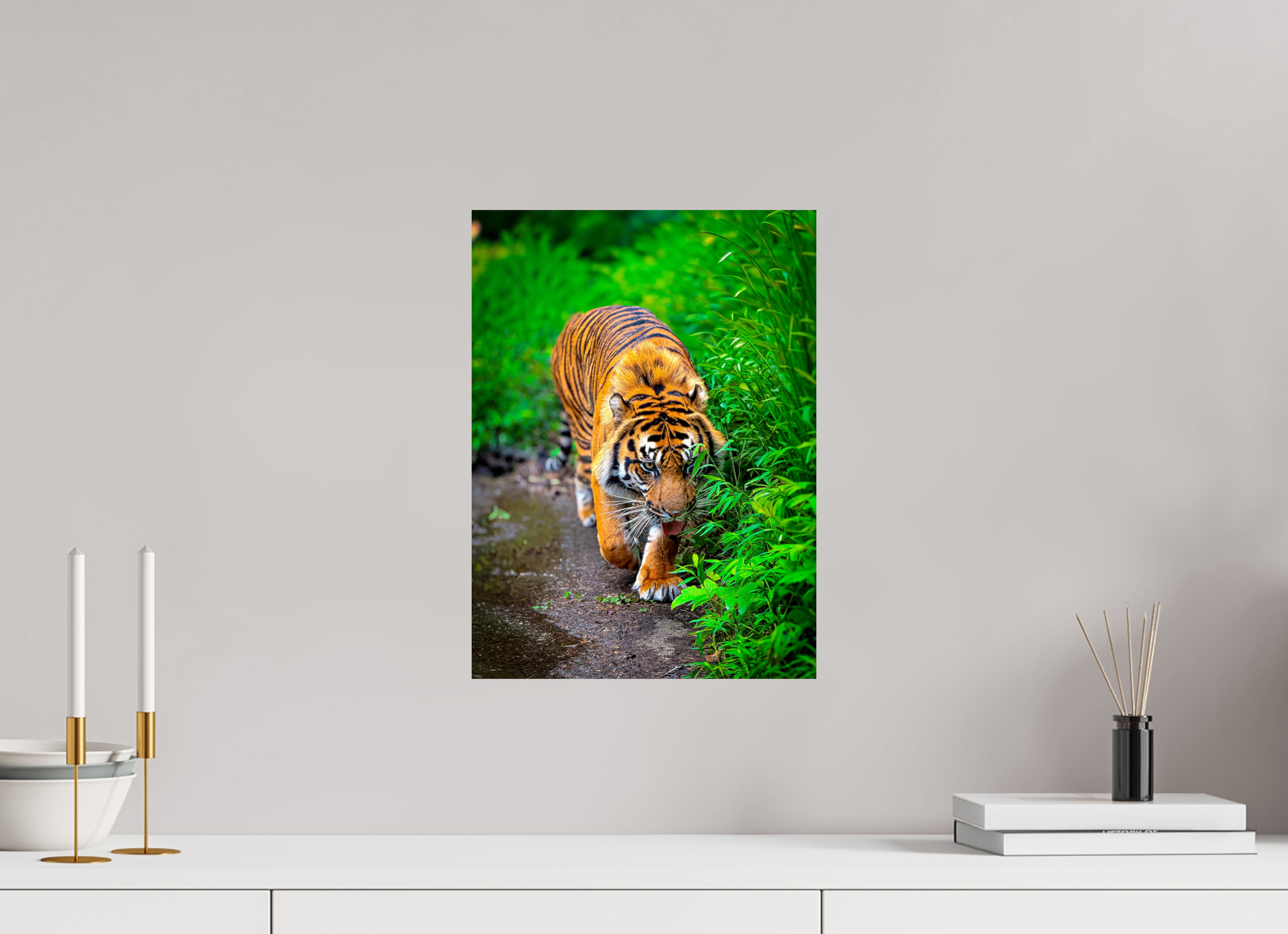 12 x 16.3″, Photo Print On Fuji Crystal DP II On the Prowl