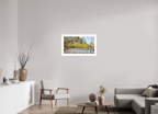 nature's cascade serene river landscape wall art photography