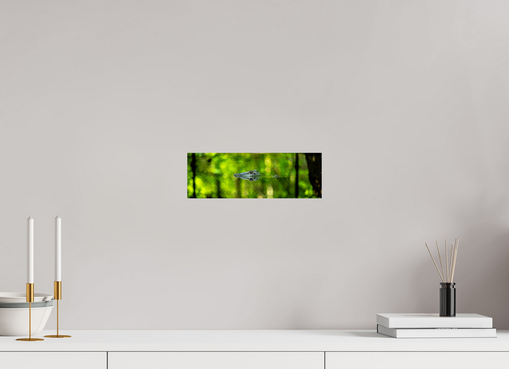 11.9 x 4″, Photo Print On Fuji Crystal DP II Lurking Reflections